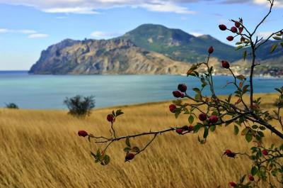 Прикрепленное изображение: _DSC7362 (Копировать).JPG